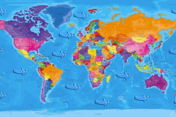 planisphere ou vivent les cachalots