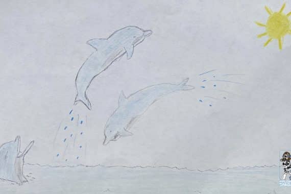 Dessin dauphins Gabin