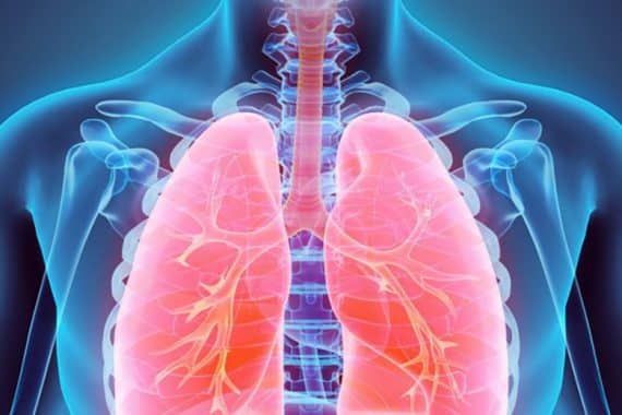 La respiration