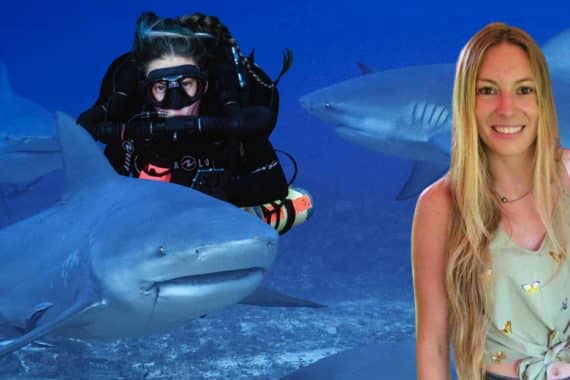 clementine seguigne requins
